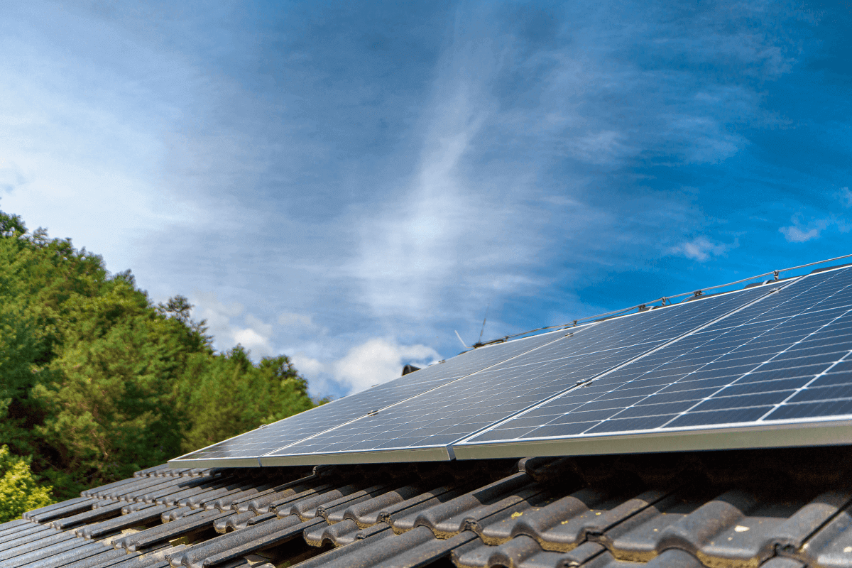 Cómo instalar paneles solares y aprovechar la energía del sol